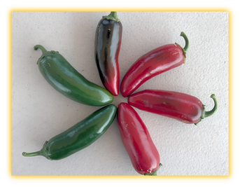 Hot Pepper vegetable seed