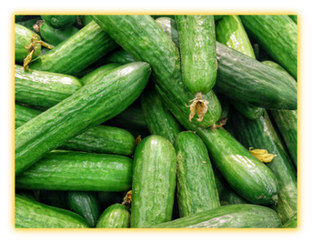 Cucumber vegetable seed