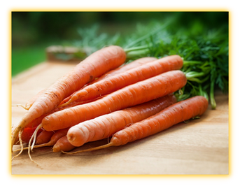 Carrot vegetable seed
