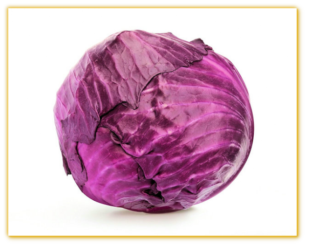 Cabbage Red Acre Cabbage Red Acre