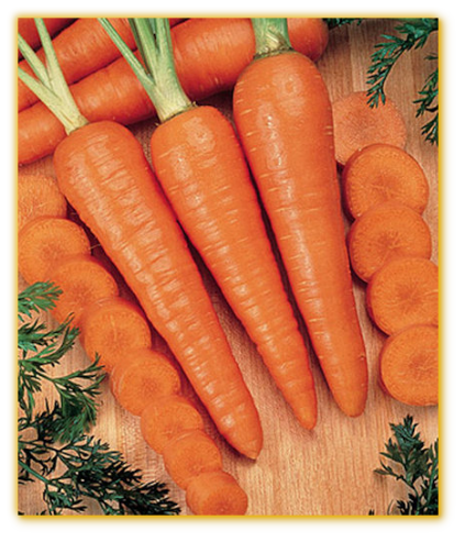 Carrot Kuroda Carrot Kuroda