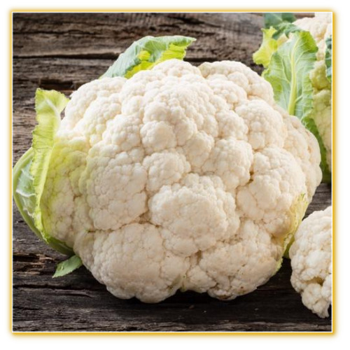 Cauliflower Fujiyama F1 Hybrid Cauliflower Fujiyama F1 Hybrid