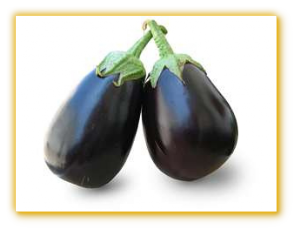 Eggplant GVS 19001 F1 Hybrid Eggplant GVS 19001 F1 Hybrid
