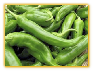 Hot Pepper GVS 42030 F1 Hybrid Hot Pepper GVS 42030 F1 Hybrid