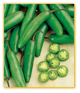 Hot Pepper Pimiento Poivron