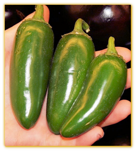 Hot Pepper Pimiento Poivron