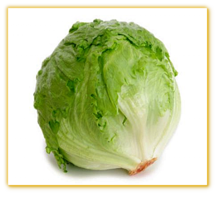Lettuce GVS 29103 Lettuce GVS 29103
